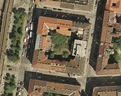 Artenreichtum an der Fassade